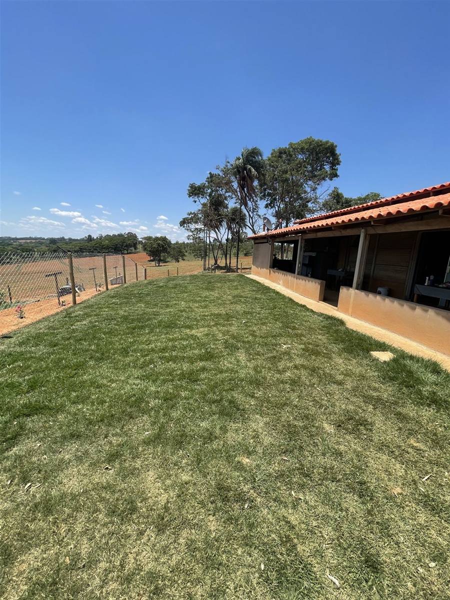 Área gramada do hotel para cães da Action Dog em Patos de Minas