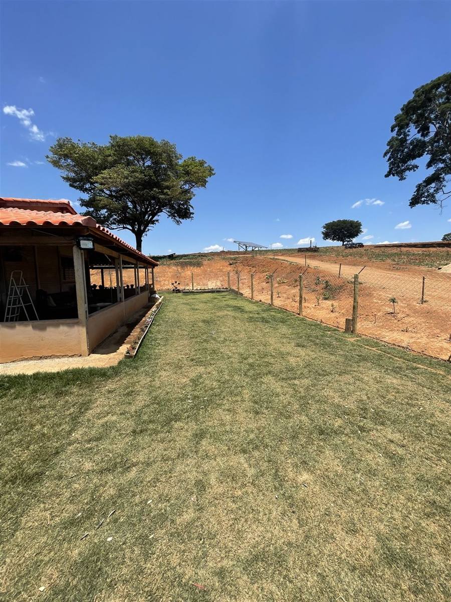 Estrutura externa do hotel para cães da Action Dog